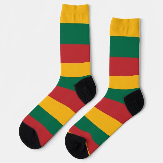 リトアニア国旗を持つ男性クルー用ソックス ソックス (左)