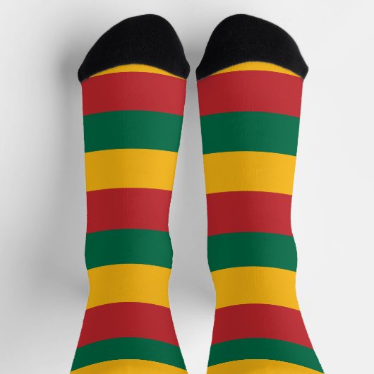 リトアニア国旗を掲げた女性用ソックス ソックス (上部)