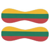 リトアニア国旗を掲げた愛国的なソフトボール ソフトボール (パネル)