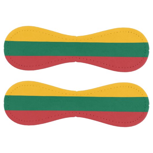 リトアニア国旗を掲げた愛国的なソフトボール ソフトボール (パネル)