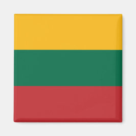 リトアニア国旗を掲げた磁石 マグネット