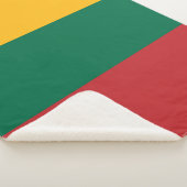 リトアニア国旗 シェルパブランケット (3/4)