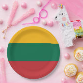 リトアニア国旗 ペーパープレート (パーティー)
