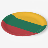 リトアニア国旗 ペーパープレート (アングル)