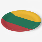 リトアニア国旗 ペーパープレート (アングル)