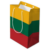 リトアニア国旗 ミディアムペーパーバッグ (裏面アングル)