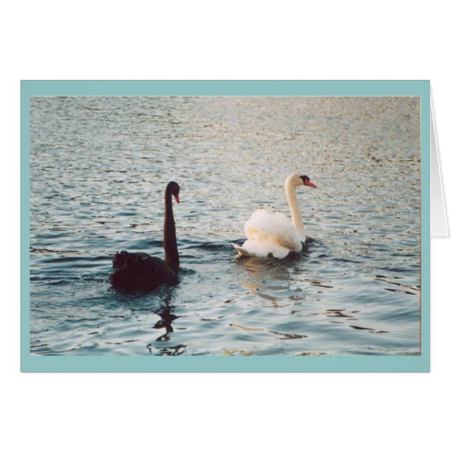 リトアニア地方の白黒 (正面横)