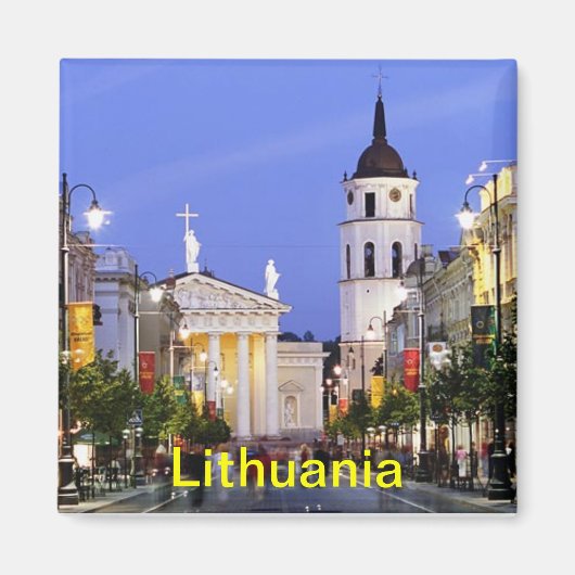 リトアニア磁石 マグネット (正面)