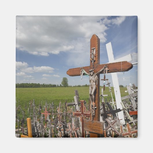 リトアニア，中央リトアニア，シャウリアイ，ヒル マグネット (正面)