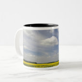 リトアニア，中央リトアニア，ジョニスキス，フィールド ツートーンマグカップ (正面左)