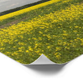 リトアニア，中央リトアニア，ジョニスキス，フィールド ポスター (角)