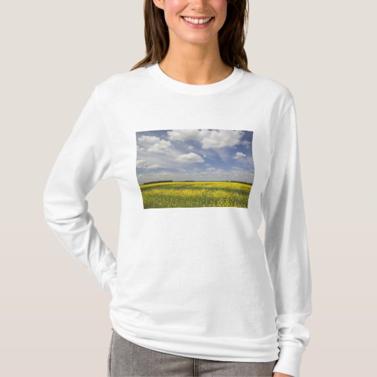 リトアニア, 中央リトアニア, ヨニシュキス, 野原 Tシャツ (正面)