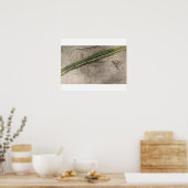 リトマスの戦場の地形図 ポスター (キッチン)