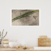 リトマスの戦場の地形図 ポスター (キッチン)