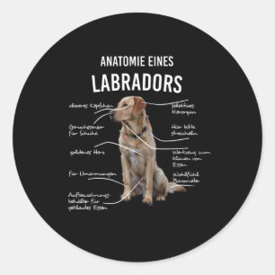リトリーバー犬のおもしろいラブラドールの解剖 ラウンドシール