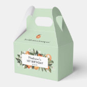 リトルかわいこちゃんが1歳の誕生日のパーティーファを回している フェイバーボックス (正面サイド)