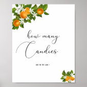 リトルかわいこちゃんどれだけのキャンディー ポスター (正面)