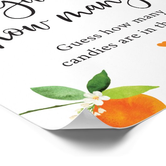 リトルかわいこちゃんの緑のフローラは何記号を推測 ポスター (角)