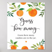 リトルかわいこちゃんの緑のフローラは何記号を推測 ポスター (正面)