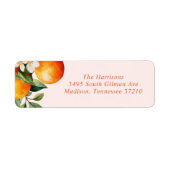 リトルかわいこちゃんオレンジクレメンチンベビーシャワーアドレス ラベル (正面)