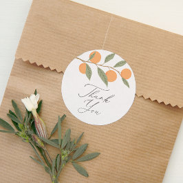 リトルかわいこちゃんオレンジシトラスサンキュー ラウンドシール