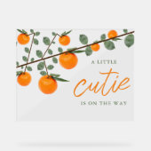 リトルかわいこちゃんオレンジ男女兼用色ベビーシャワー アクリルサイン (正面)