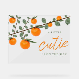 リトルかわいこちゃんオレンジ男女兼用色ベビーシャワー アクリルサイン