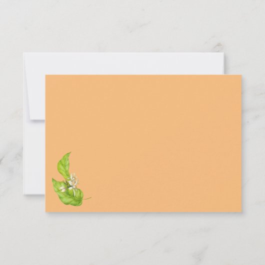 リトルかわいこちゃんオレンジ赤ちゃんシャワーありがとう サンキューカード (裏面)