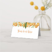 リトルかわいこちゃんオレンジ1stバースデーフード座席表 プレイスカード (正面)