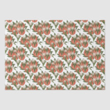 リトルかわいこちゃんクレメンチン | 柑橘系ベビーシャワー