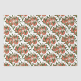 リトルかわいこちゃんクレメンチン | 柑橘系ベビーシャワー 薄葉紙