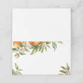 リトルかわいこちゃんグリーンリーシトラスオレンジ プレイスカード (外部開封)