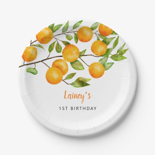 リトルかわいこちゃんサマーバースデーパーティー ペーパープレート (正面)