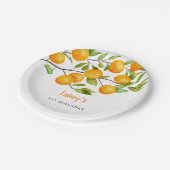 リトルかわいこちゃんサマーバースデーパーティー ペーパープレート (アングル)