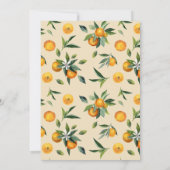 リトルかわいこちゃんシトラス男女兼用ベビーシャワー 招待状 (裏面)