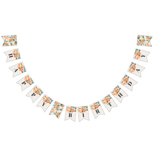 リトルかわいこちゃんハッピーバースデーバナーオレンジ誕生日 バンティングフラッグ (全)