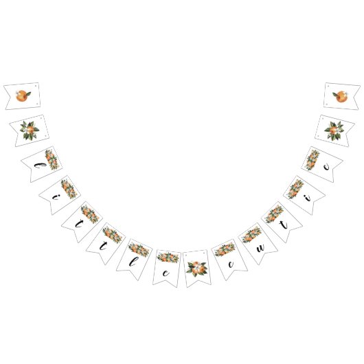 リトルかわいこちゃんバナーリトルかわいこちゃんベビーシャワーバーン バンティングフラッグ (全)