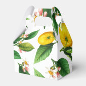 リトルかわいこちゃんレモンシトラスサマーベビーシャワー フェイバーボックス (裏面サイド)