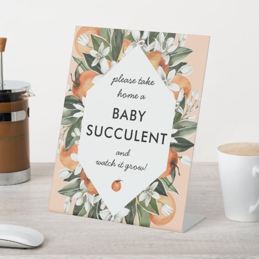 リトルかわいこちゃん多肉乳児シャワーの好意サイン 台座サイン (インサイチュ)