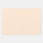 リトルかわいこちゃん柑橘系テーマ誕生日パーティー ラッピングペーパーシート (正面3)