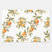 リトルかわいこちゃん柑橘系テーマ誕生日パーティー ラッピングペーパーシート (正面2)