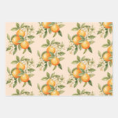 リトルかわいこちゃん柑橘系テーマ誕生日パーティー ラッピングペーパーシート (正面)
