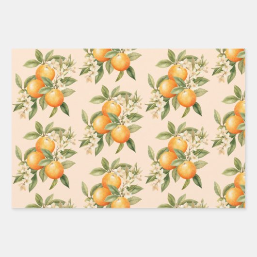 リトルかわいこちゃん柑橘系テーマ誕生日パーティー ラッピングペーパーシート (正面)