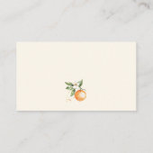 リトルかわいこちゃん柑橘系ベビーショーおむつラッフル エンクロージャーカード (裏面)