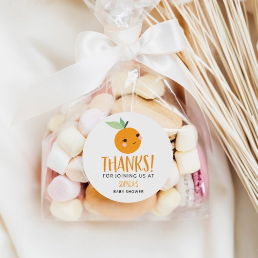 リトルかわいこちゃん柑橘系ベビービーフスティッカー ラウンドシール