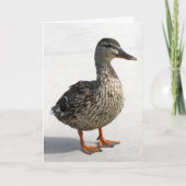 リトルアヒル カード (正面)