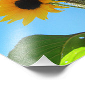 リトルイエローサンフラワー8x10 フォトプリント (角)