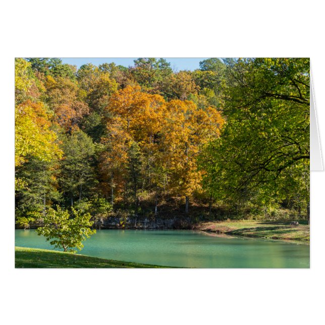 リトルインディアンゴルディ (正面横)