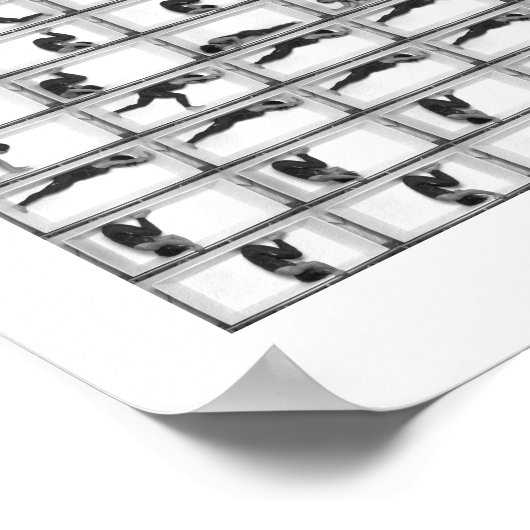 リトルイーズ ポスター (角)