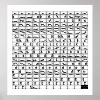 リトルイーズ ポスター